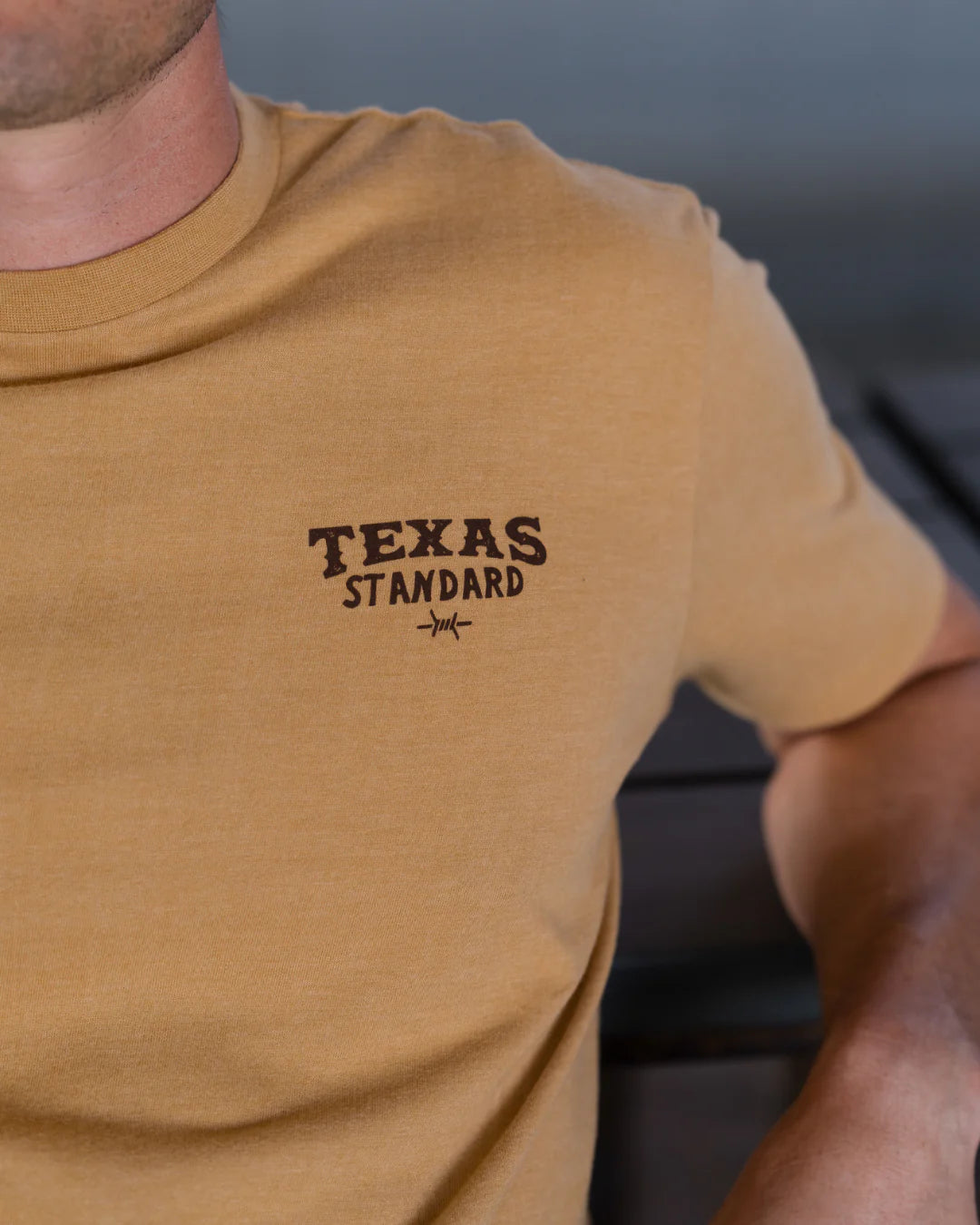 Heritage Printed Tee - Riding School in beige with TEXAS STANDARD chest print, men's casual shirt