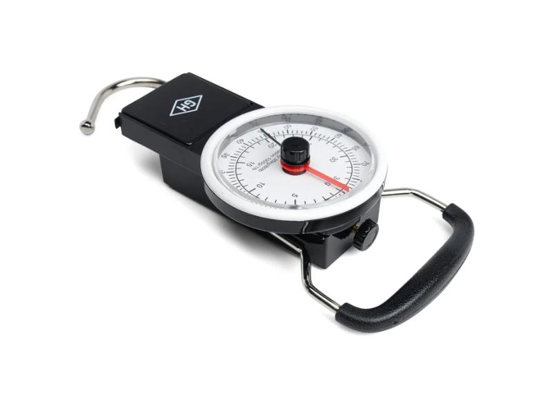 Travel Scale