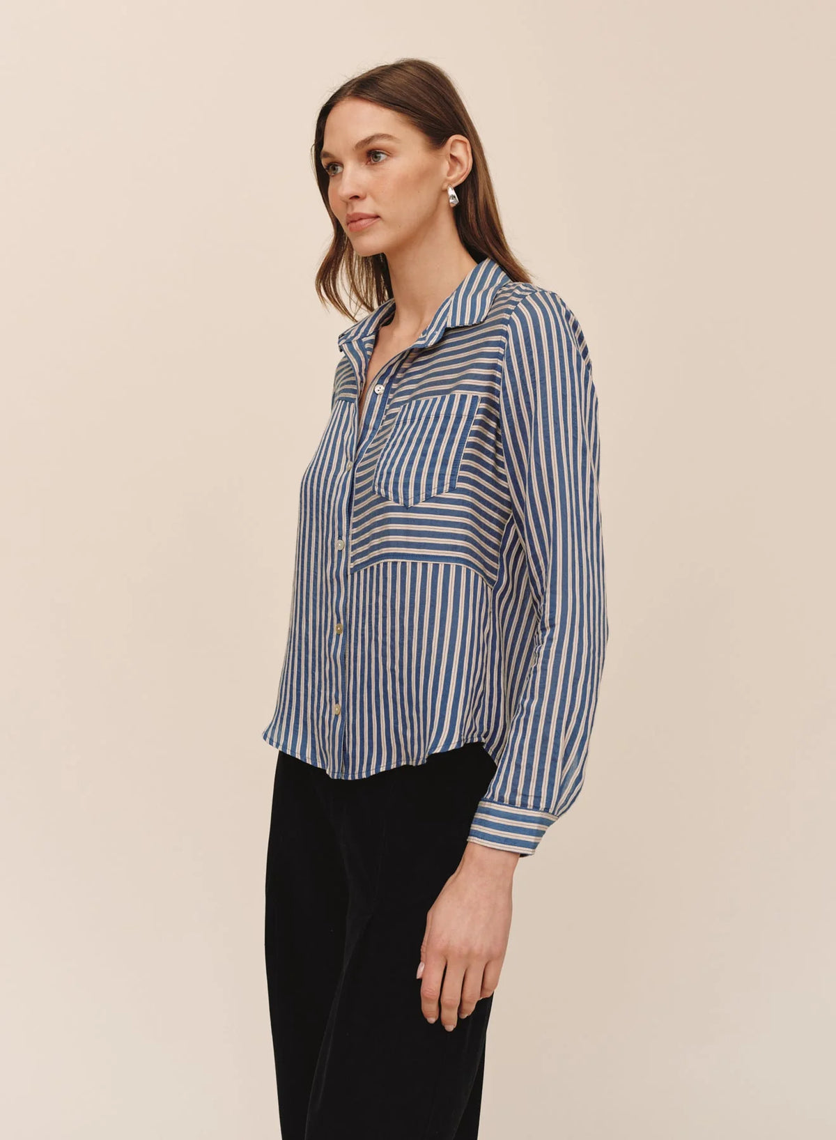 Seamed Button Down - Vintage Navy Stripe