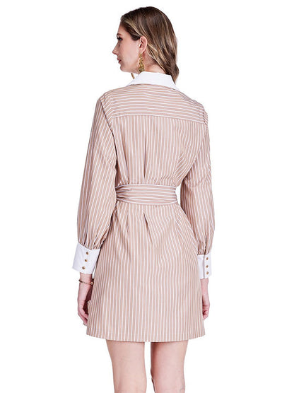 Collar Waist Pleated Shirt Dress