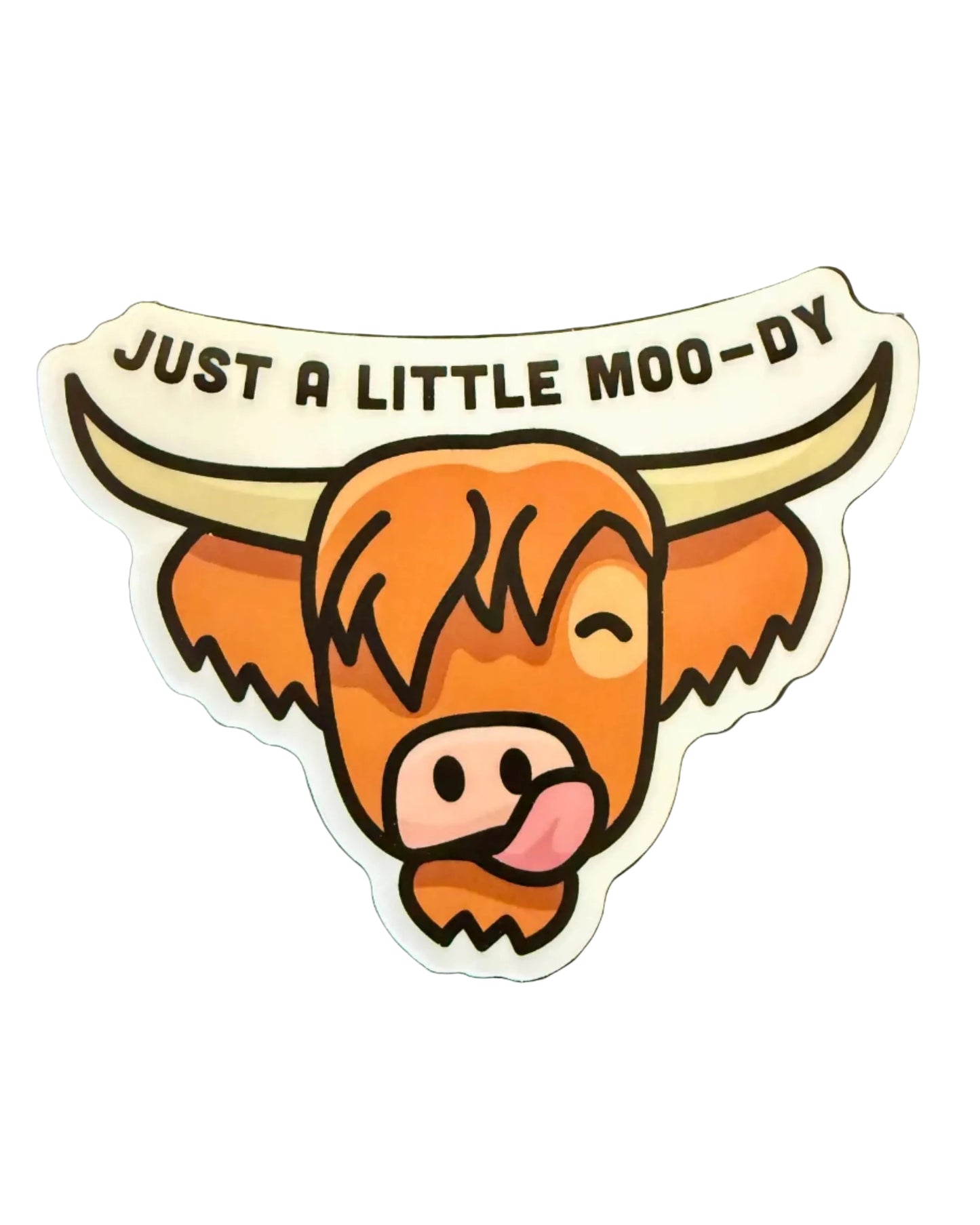 Highland Cow