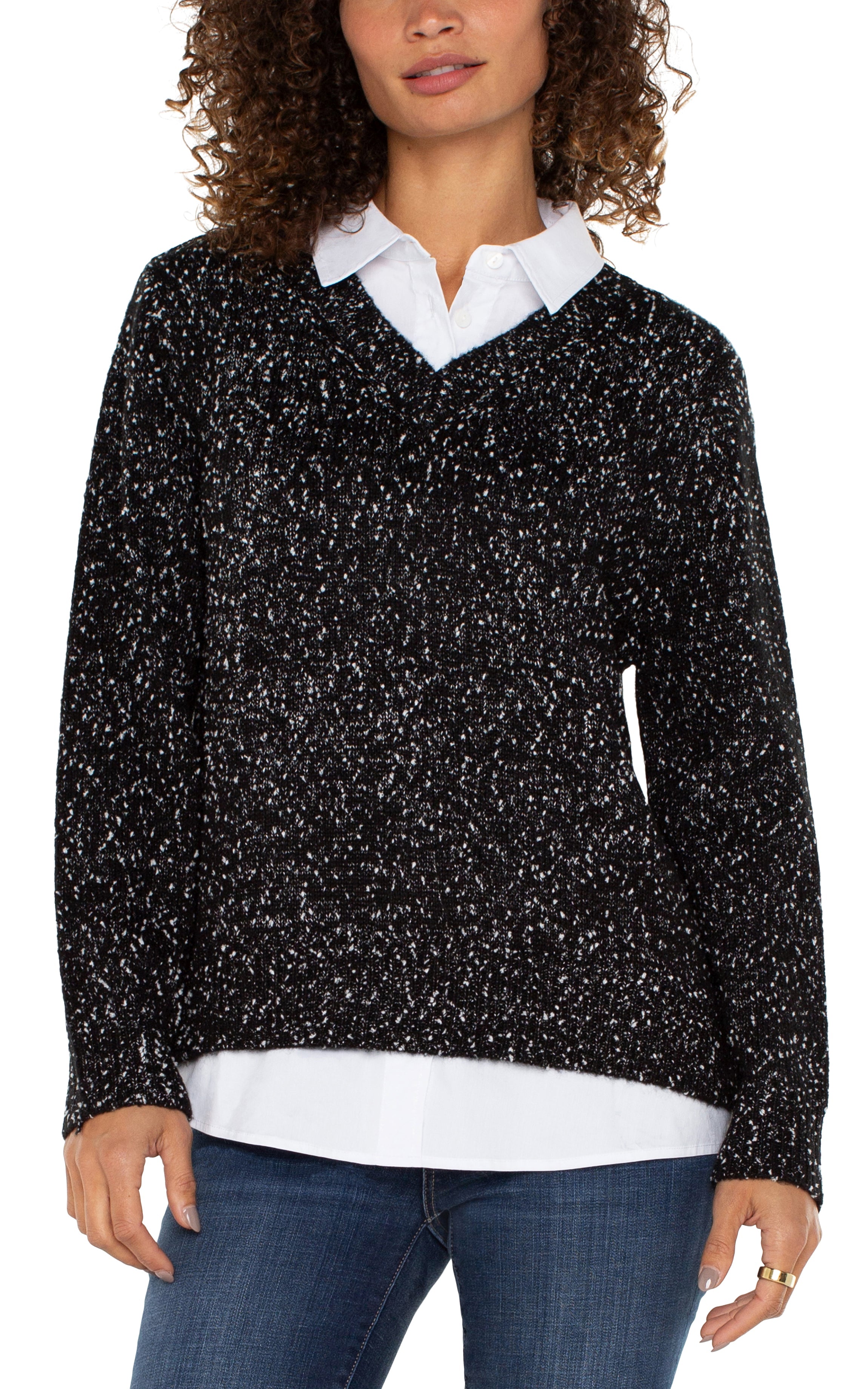 Long Slv Twofer Collared Sweater