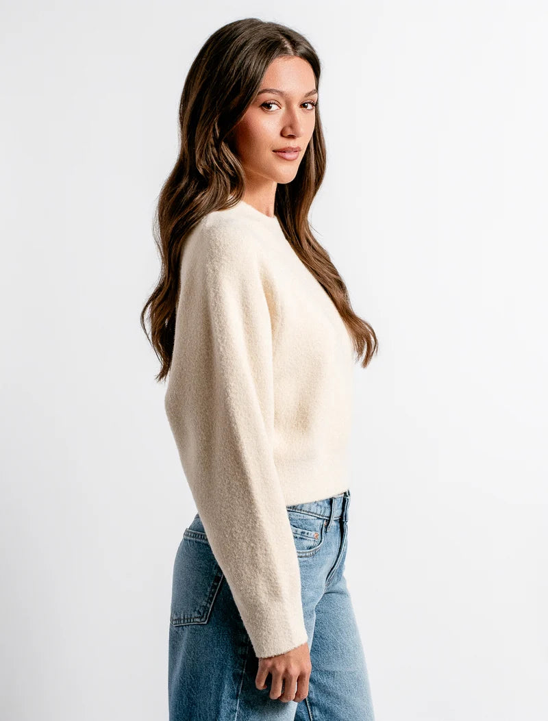 Carrara Solid Sweater