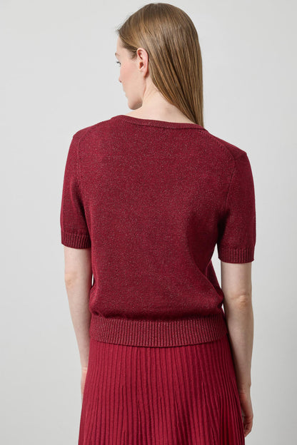 Short Sleeve V-Neck Sparkle Sweater