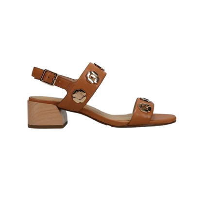 Cris - Almond Cyrene brown leather sandal with buckle strap and wood-look block heel VANELI