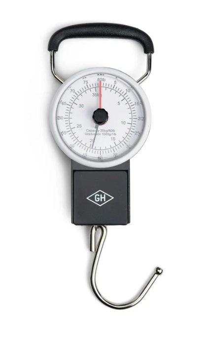Travel Scale