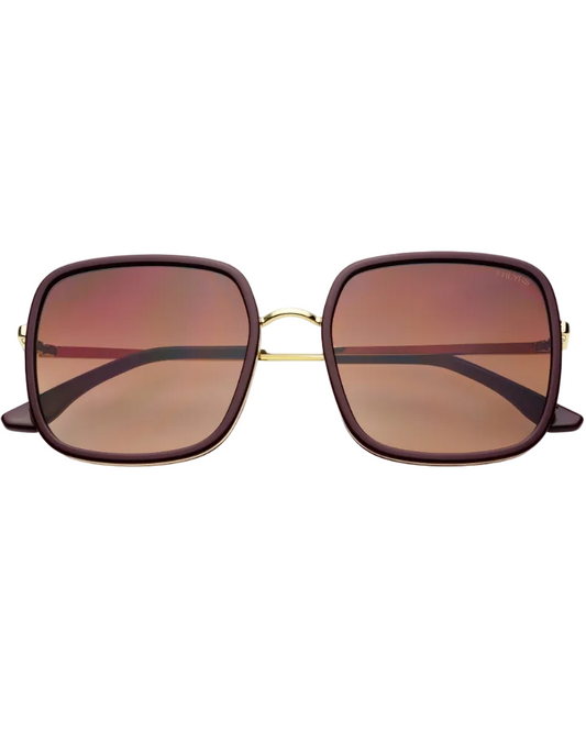 Cosmo Acetate Womens Square Sunglasses  | Chocolate