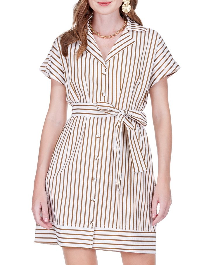 Waist Pleated Button Dress - Brown Stripe