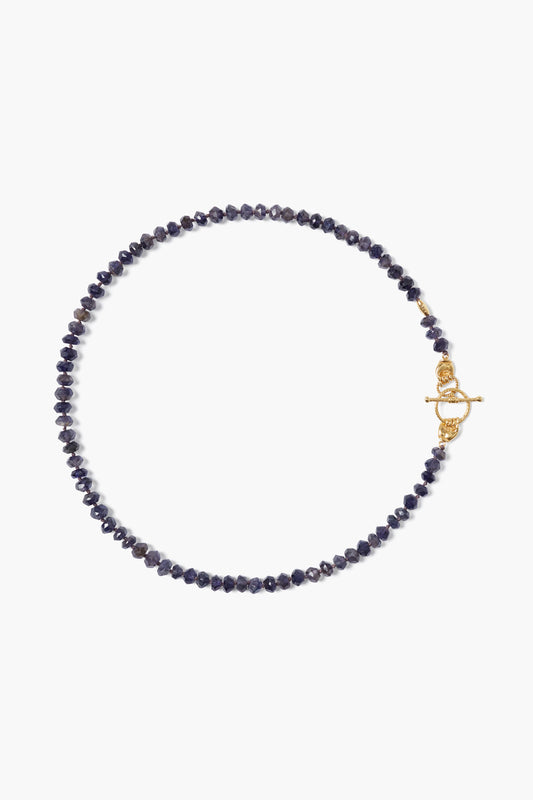 Faceted Iolite Neck Toggle Clas